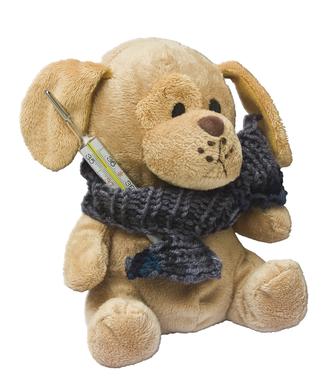 Fieber bei Kindern Teddybär mit Fieberthermometer